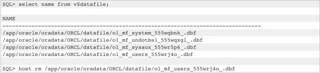 数据恢复：如何恢复Linux中意外删除的Oracle和MySQL数据库