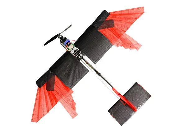 科学家研发新型无人机，有羽毛翅膀可快速飞行