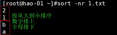 8.10 shell特殊符_cut命令;8.11 sort wc uniq命令;8.12 tee