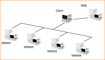部署DNS服务器之主要区域