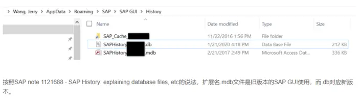 SAP GUI和Windows注册表
