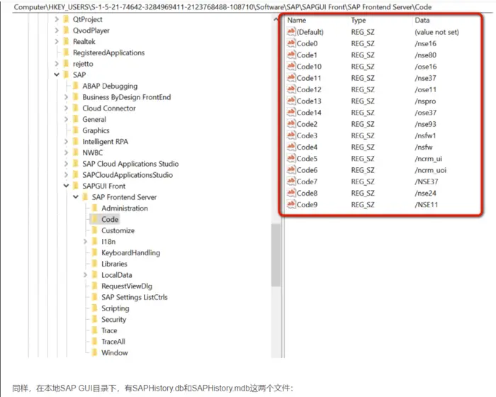 SAP GUI和Windows注册表