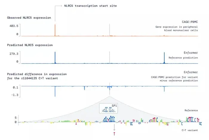 DNA 预测进入新时代！DeepMind 发布新模型Enformer，一次可编码20万个碱基对