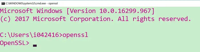 使用openSSL构造一个支持https的nodejs服务器