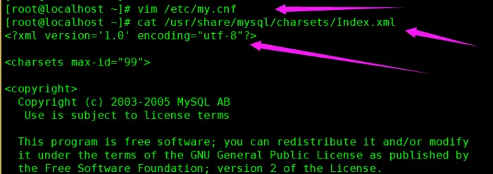 CentOS 7 yum MySQL数据库安装和配置