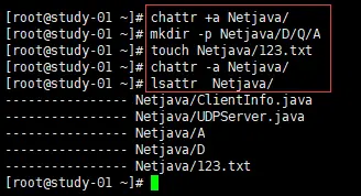 Linux文件和目录权限：chmod、更改所有者和所属组：chown，umask命令，隐藏权限：lsattr/chattr