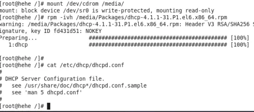 linux服务 DHCP SAB